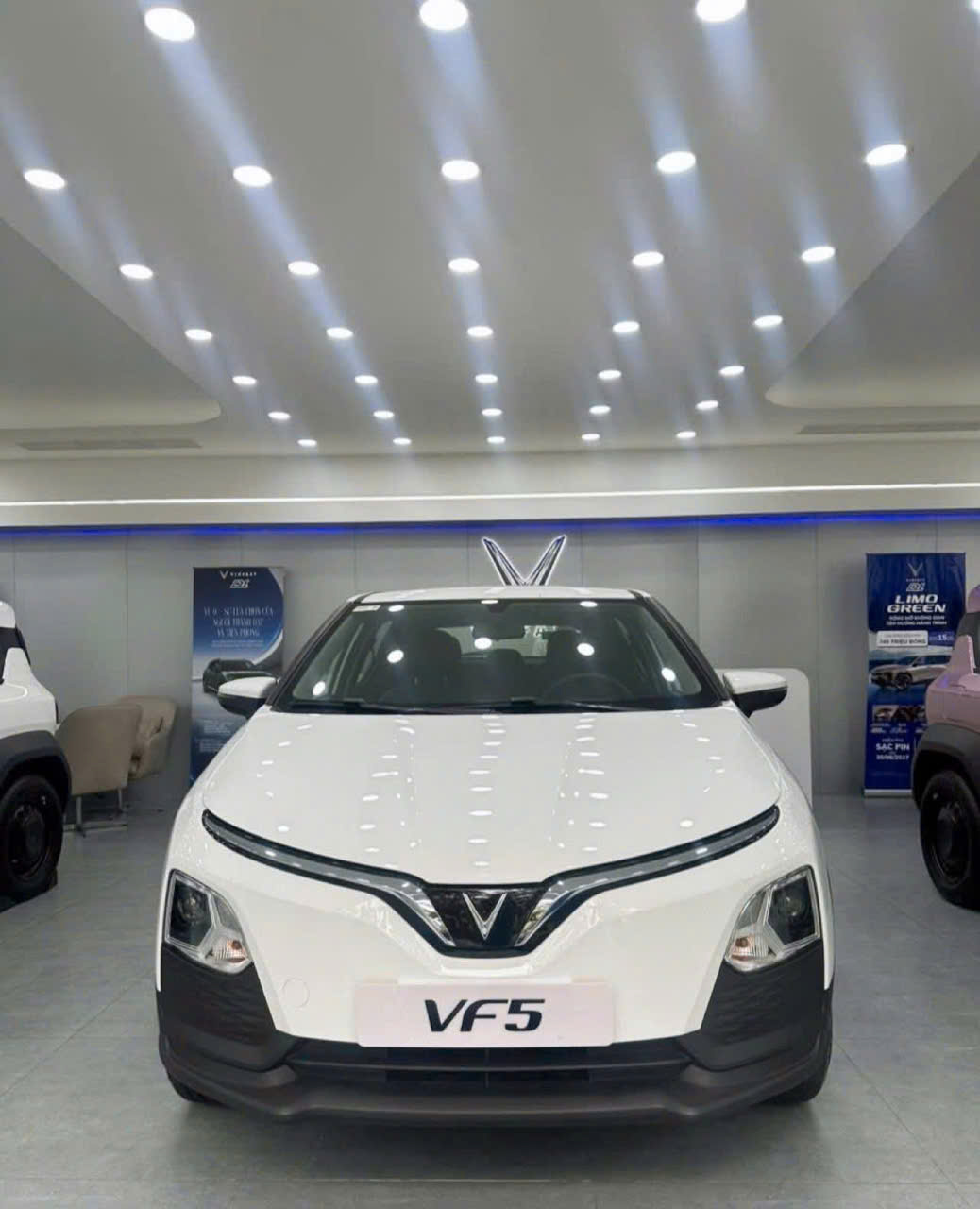 vinfastd1.com